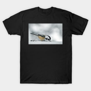 Chickadee in winter T-Shirt